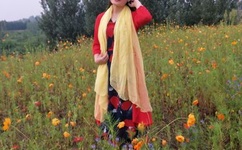 午夜精品乱人伦小说区